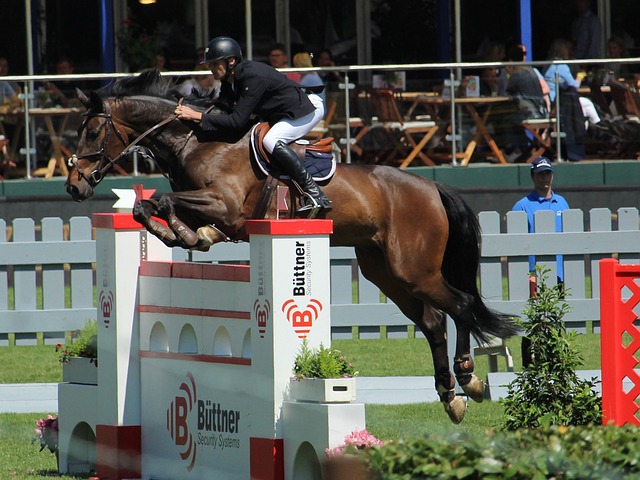 个新的世界 个新的世界