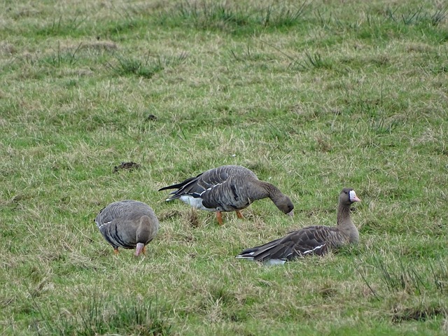 的出色表現 的出色表現