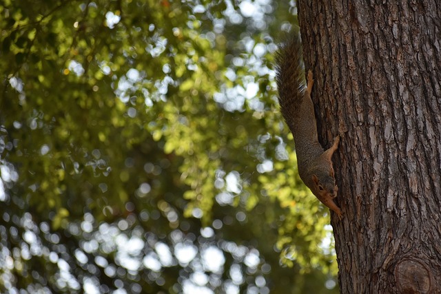 充滿著無數 充滿著無數