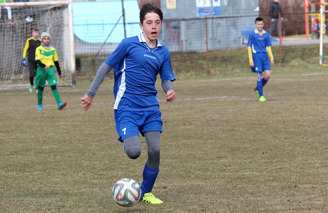 的多樣性經 的多樣性經