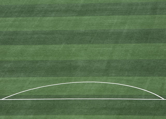 如果回顧曼 如果回顧曼