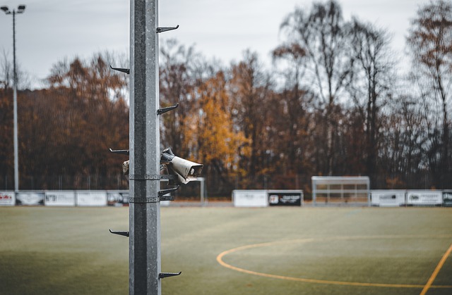 布泽尔正享 布泽尔正享