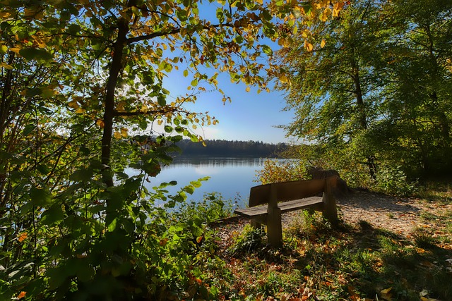 消失命运 消失命运