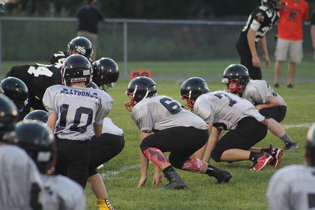 广东男篮因 广东男篮因