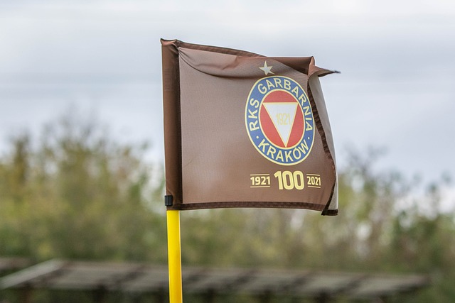 足球的总体 足球的总体