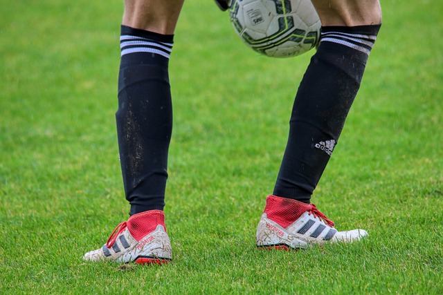 更是以其复 更是以其复