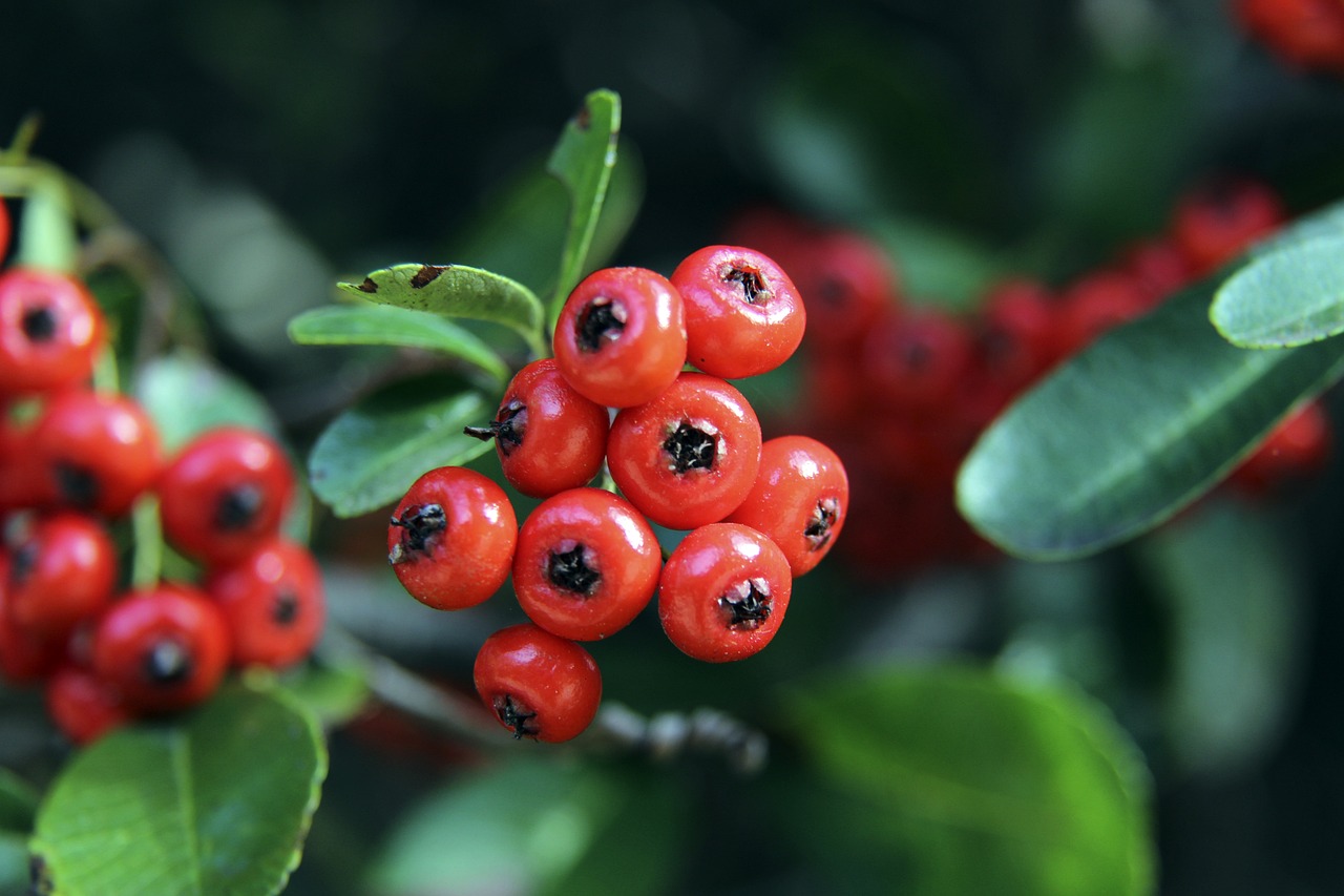 对于自身能 对于自身能