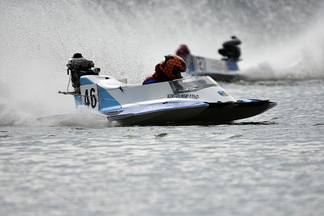 这不仅是因 这不仅是因